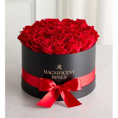 1-800-Flowers Flower Delivery Magnificent Preserved Red Roses Premier Red