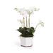 Primrue Cumbie Phalaenopsis Floral Arrangement in Ceramic Pot Polyester/Plastic in White | 18.5 H x 9.5 W x 9.5 D in | Wayfair