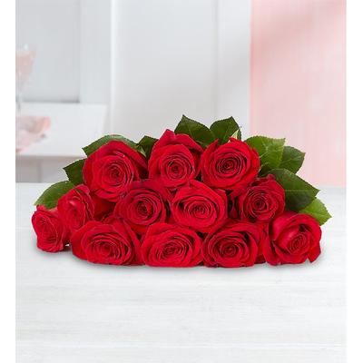 1-800-Flowers Flower Delivery One Dozen Red Roses + Free Vase Bouquet Only | Happiness Delivered To Their Door