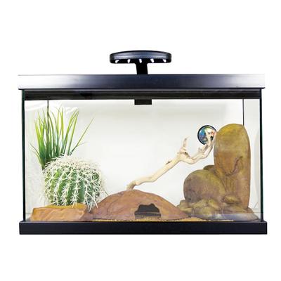 Exo Terra Leopard Gecko Starter Kit