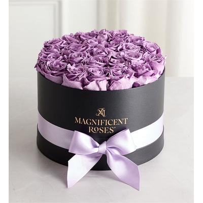 1-800-Flowers Flower Delivery Magnificent Preserved Roses Premier Lavender | Same Day Delivery Available