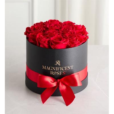 1-800-Flowers Flower Delivery Magnificent Preserved Roses Classic Red | 100% Satisfaction Guaranteed