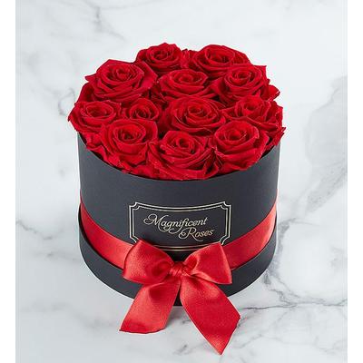 1-800-Flowers Flower Delivery Magnificent Preserved Roses Classic Red | 100% Satisfaction Guaranteed