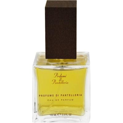 Profumi di Pantelleria Profumo di Pantelleria Eau de Parfum (EdP) 100 ml Parfüm