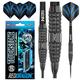 RED DRAGON Touchstone 25g - Tungsten Darts with Flights and Stems