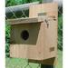 BirdHousesbyMark Cedar Finch 13.8 in x 7.3 in x 8.5 in Birdhouse Wood in Brown | 13.75 H x 7.25 W x 8.5 D in | Wayfair HFINCH