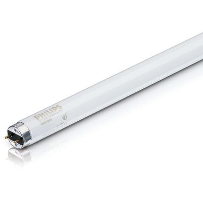 Leuchtstoffröhre master tl-d Graphica - T8, 965 Tageslicht - 36W (1200mm) - Philips Image
