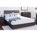 Ivy Bronx Dabbs Low Profile Platform Bed Wood in Brown | 11.75 H x 61.25 W x 81.75 D in | Wayfair 01BE2C6D30594ACABE21CFD2F7F113EE