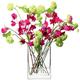 Flower Rechteckige Bunch Vase H22cm - klar