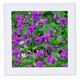 3dRose QS 6280 _ 2 Holz Violets-Quilt Platz, 6 von 6