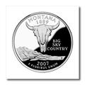 3dRose State Quarter von Montana (PD-us) – Eisen auf Wärmeübertragung, 10 von 25,4 cm, für weiß Material (HT 57024 _ 3)