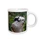 3dRose Tasse 132355 _ 2 China, wolong Reserve, Baby Panda Bär auf Baumstumpf R510 aga0010 Alice Garland Keramik Tasse, 15-Ounce