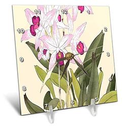 3dRose DC 175431 _ 1 Pretty hell und dunkel pink Laelia (Orchideen) spinnenwespe Orchids-Desk Uhr, 6 von 6