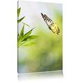 Pixxprint LFs7844_60x40 frischer grüner Bambus mit schönem Schmetterling fertig gerahmt mit Keilrahmen Kunstdruck kein Poster oder Plakat auf Leinwand, 60 x 40 cm