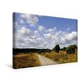 Calvendo Premium Textil-Leinwand 45 cm x 30 cm Quer, Lüneburger Heide | Wandbild, Bild auf Keilrahmen, Fertigbild auf Echter Leinwand, Leinwanddruck: Spazierweg in der Heide Natur Natur