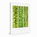 Calvendo Premium Textil-Leinwand 80 cm x 120 cm hoch Natural Trios - Grüne Blätter | Wandbild, Bild auf Keilrahmen, Fertigbild auf Echter Leinwand, Leinwanddruck Orte Orte
