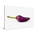 Calvendo Premium Textil-Leinwand 120 cm x 80 cm Quer, Chili in Violett | Wandbild, Bild auf Keilrahmen, Fertigbild auf Echter Leinwand, Leinwanddruck: Ein der Chili-Küchen-Planer Lifestyle Lifestyle