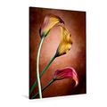 Calvendo Premium Textil-Leinwand 80 cm x 120 cm hoch, Zantedeschia Aethiopica, Calla Blumen | Wandbild, Bild auf Keilrahmen, Fertigbild auf Echter Leinwand, Leinwanddruck Natur Natur