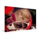 Calvendo Premium Textil-Leinwand 120 cm x 80 cm Quer, Britisch Kurzhaar Katze in Cinnamon | Wandbild, Bild auf Keilrahmen, Fertigbild auf Echter Leinwand, Leinwanddruck Tiere Tiere