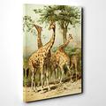 Leinwandbild 50,8 x 35,6 cm (50 x 35 cm) Vintage South African Giraffen – Leinwand Wandbild Bild fertig zum Aufhängen