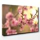 BIG Box Art Canvas Print 30 x 20 Inch (76 x 50 cm) Spring Bloom Flowers - Canvas Wall Art Picture Ready to Hang