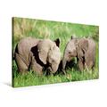 Calvendo Premium Textil-Leinwand 75 cm x 50 cm Quer, Geheimnisse? Zwei Niedliche Elefantenbabies Spielen ausgelassen im Gras | Wandbild, Bild auf Keilrahmen. Masai Mara, Kenia, Afrika Tiere Tiere