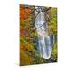 Premium Textil-Leinwand 80 cm x 120 cm hoch Nicht nur im Herbst einen Besuch wert - der Pistyll Rhaeadr Wasserfall in Wales | Wandbild, Bild auf Keilrahmen, Fertigbild auf echter Leinwand, Leinwanddruck