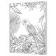 Pintcolor 7161.0 Keilrahmen mit Leinwand Bedruckt Zum Ausmalen, Tannenholz/Baumwolle, Weiß/Schwarz, 40 x 50 x 3.5 cm