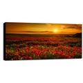 Engardo 60 ml77 Canvas Mohnblumen, Mehrfarbig, 130 x 3 x 60 cm