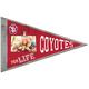 KH Sports Fan South Dakota 43900 Coyotes Pennant Clip Bilderrahmen It