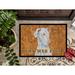 Caroline's Treasures Great Dane Wipe Your Paws Non-Slip Indoor Door Mat Synthetics in White | 24 W x 36 D in | Wayfair LH9444JMAT