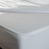 CleanRest Fitted Hypoallergenic Waterproof Mattress Cover Polyester | 80 H x 39 W in | Wayfair 845168001182