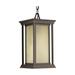 Progress Lighting Endicott 15 Inch Tall 1 Light Outdoor Hanging Lantern - P5500-20