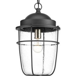 Progress Lighting Holcombe 16 Inch Tall 1 Light Outdoor Hanging Lantern - P550025-031