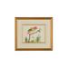 Chelsea House MULTICOLOR BIRD Painting - 386859