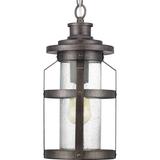 Progress Lighting Haslett 16 Inch Tall Outdoor Hanging Lantern - P550031-103