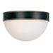 Crystorama Brian Patrick Flynn Capsule 12 Inch 2 Light Outdoor Flush Mount - CAP-8503-MK-TG