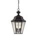 Thomas Lighting Cotswold 18 Inch Tall 4 Light Outdoor Hanging Lantern - 8903EH/75