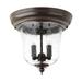 Progress Lighting Ashmore 11 Inch 2 Light Outdoor Flush Mount - P5562-20