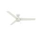 Hunter Fan Cassius Outdoor Rated 52 Inch Ceiling Fan - 59263