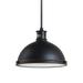 Generation Lighting Pratt Street Metal 13 Inch LED Large Pendant - 65086EN3-715