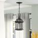 Andover Mills™ Polson 1 - Light Lantern Geometric Pendant Glass | 13.75 H x 8 W x 8 D in | Wayfair E891C07239464B29976920BFD2C406F7