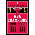 Chicago Bulls 22.4'' x 34'' NBA Champions Poster