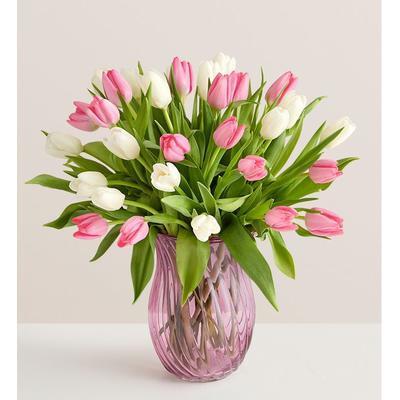 1-800-Flowers Seasonal Gift Delivery Sweet Spring Tulip Bouquet 30 Stems W/ Pink Vase | Put A Smile On Their Face