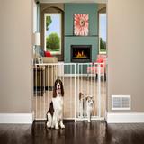 Maxi Gate with Pet Door, 59" L X 2" W X 30" H, Large, White