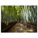 Winston Porter 'Wide Pathway in Bamboo Forest' Photographic Print on Wrapped Canvas in Green | 12 H x 20 W x 1 D in | Wayfair
