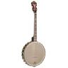 Gold Tone Irish Tenor Banjo 11