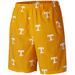 Men's Columbia Tennessee Orange Volunteers Big & Tall Backcast Shorts