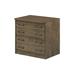 Charlton Home® Gutirrez 2-Drawer Lateral Filing Cabinet Wood in Brown | 30.125 H x 30 W x 22 D in | Wayfair 4C30A03930704208875ECB80541BD554