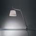 Artemide Michele De Lucchi, Giancarlo Fassina Tolomeo 66 Inch Desk Lamp - TLM2005